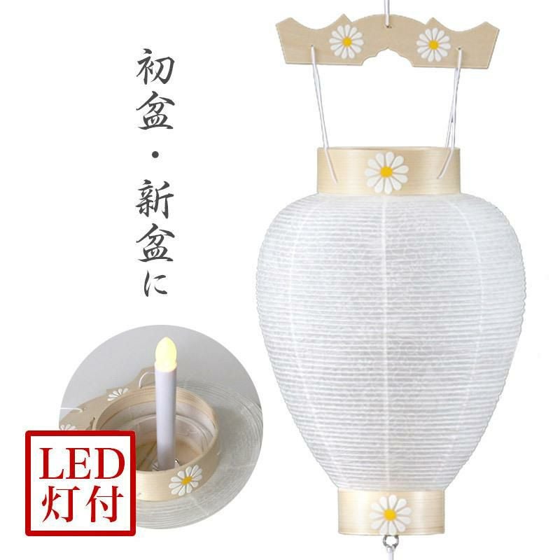 盆提灯 八寸御所 白紋天 No.70