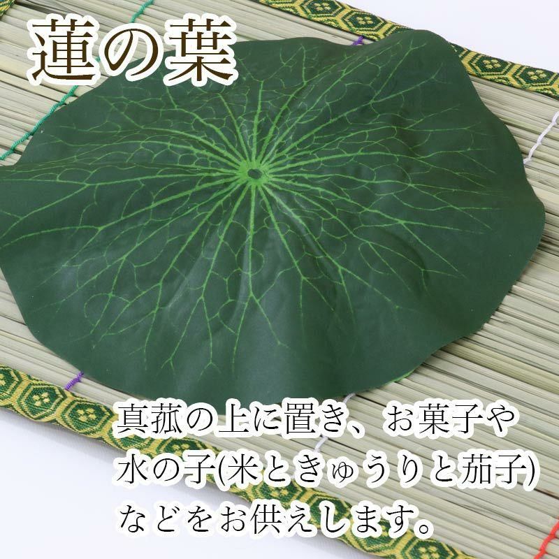 お盆飾り用 真菰(まこも)4点セット まこもござ 麻がら 蓮の葉 精霊馬