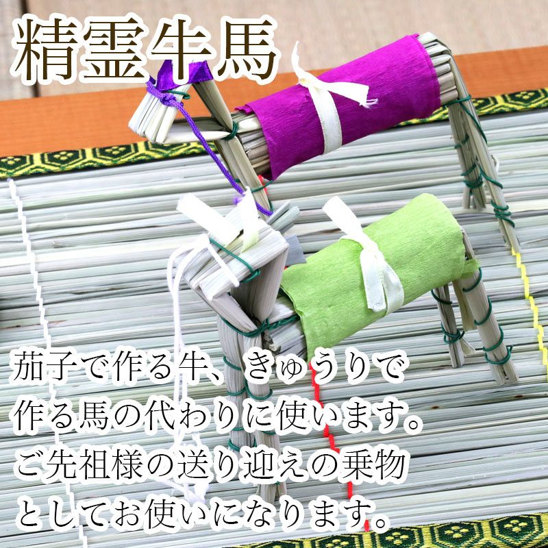 お盆飾り用 真菰(まこも)4点セット まこもござ 麻がら 蓮の葉 精霊馬