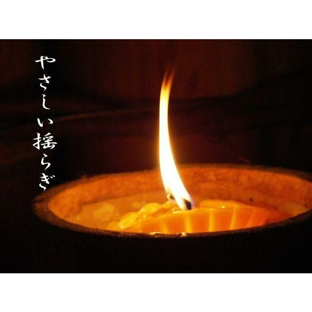 燈明芯 5束セット（1束約60本入り）メール便送料無料 灯明 神前 御灯明