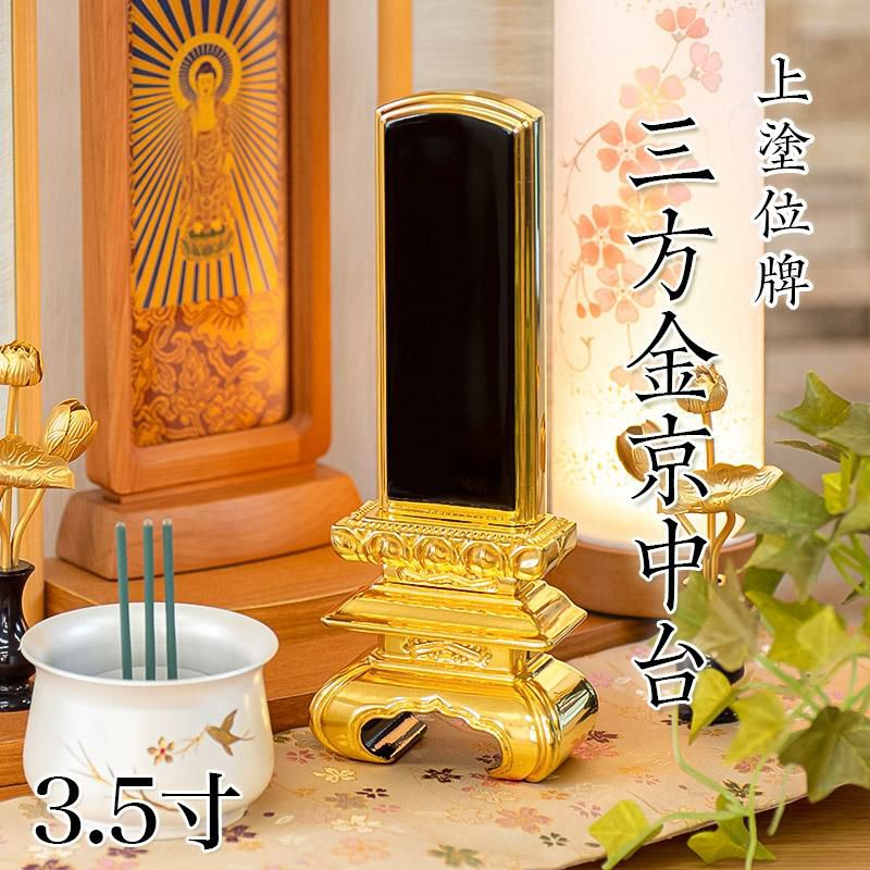 000000003244-01.jpg?size=m&w=