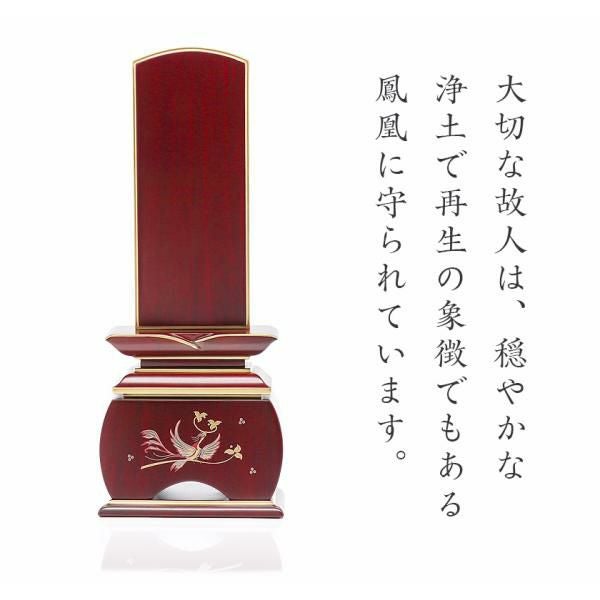 000000005384-02.jpg?size=l&w=