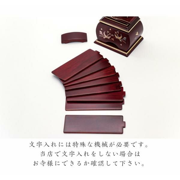 000000005396-10.jpg?size=l&w=