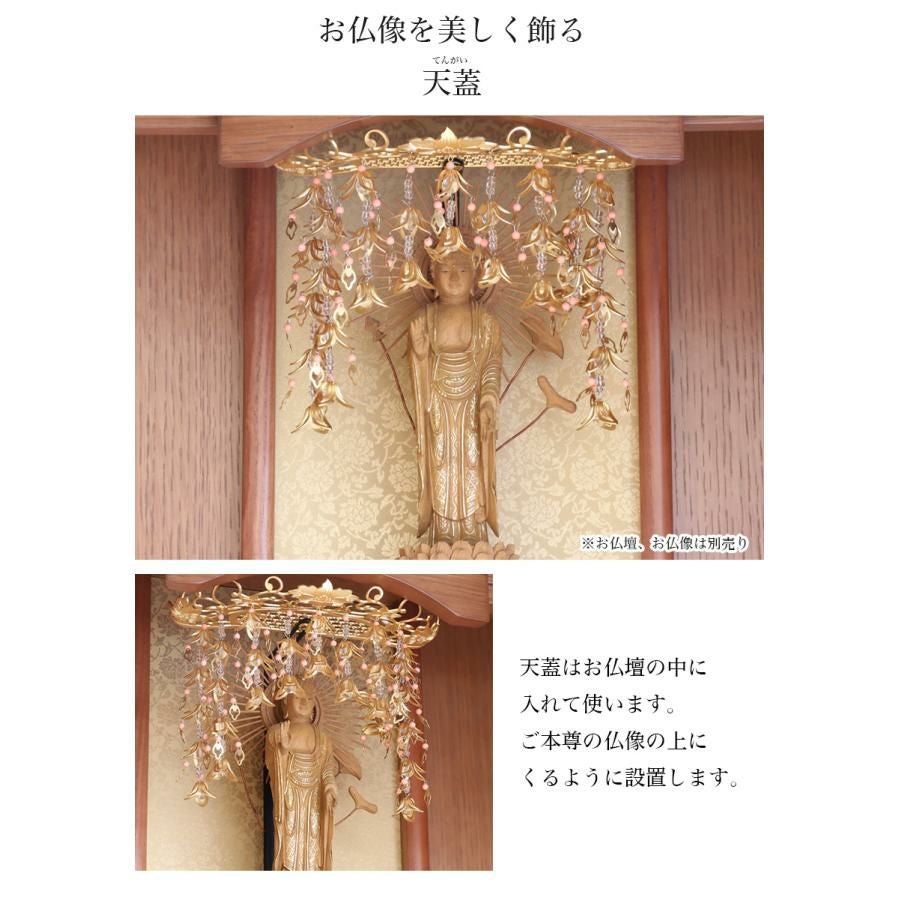000000005447-02.jpg?size=l&w=